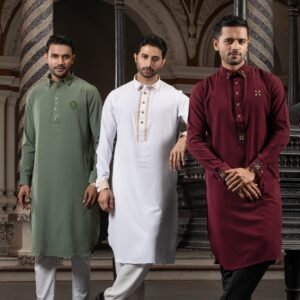 Luxery Panjabi